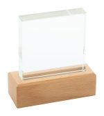 Rectofi trophy - Image 2